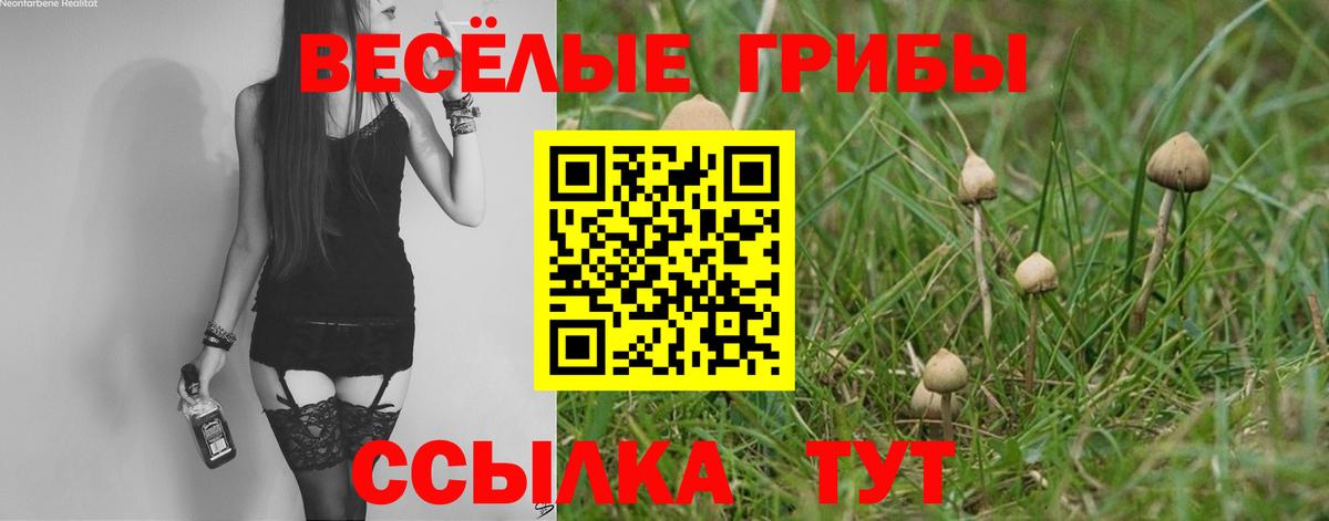 Галлюциногенные грибы прущие грибы Азов